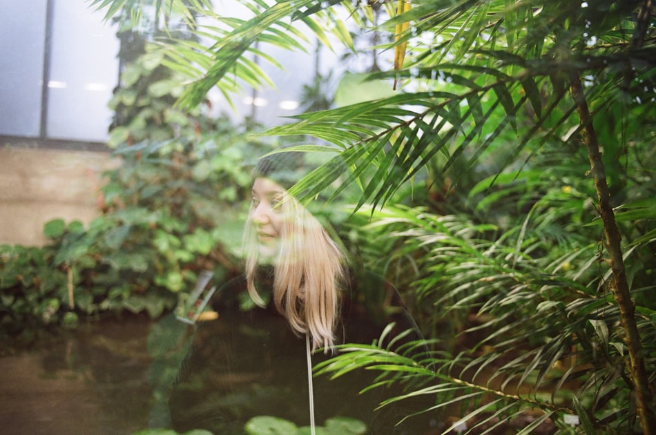 Indoor Plants: Benefits and Care